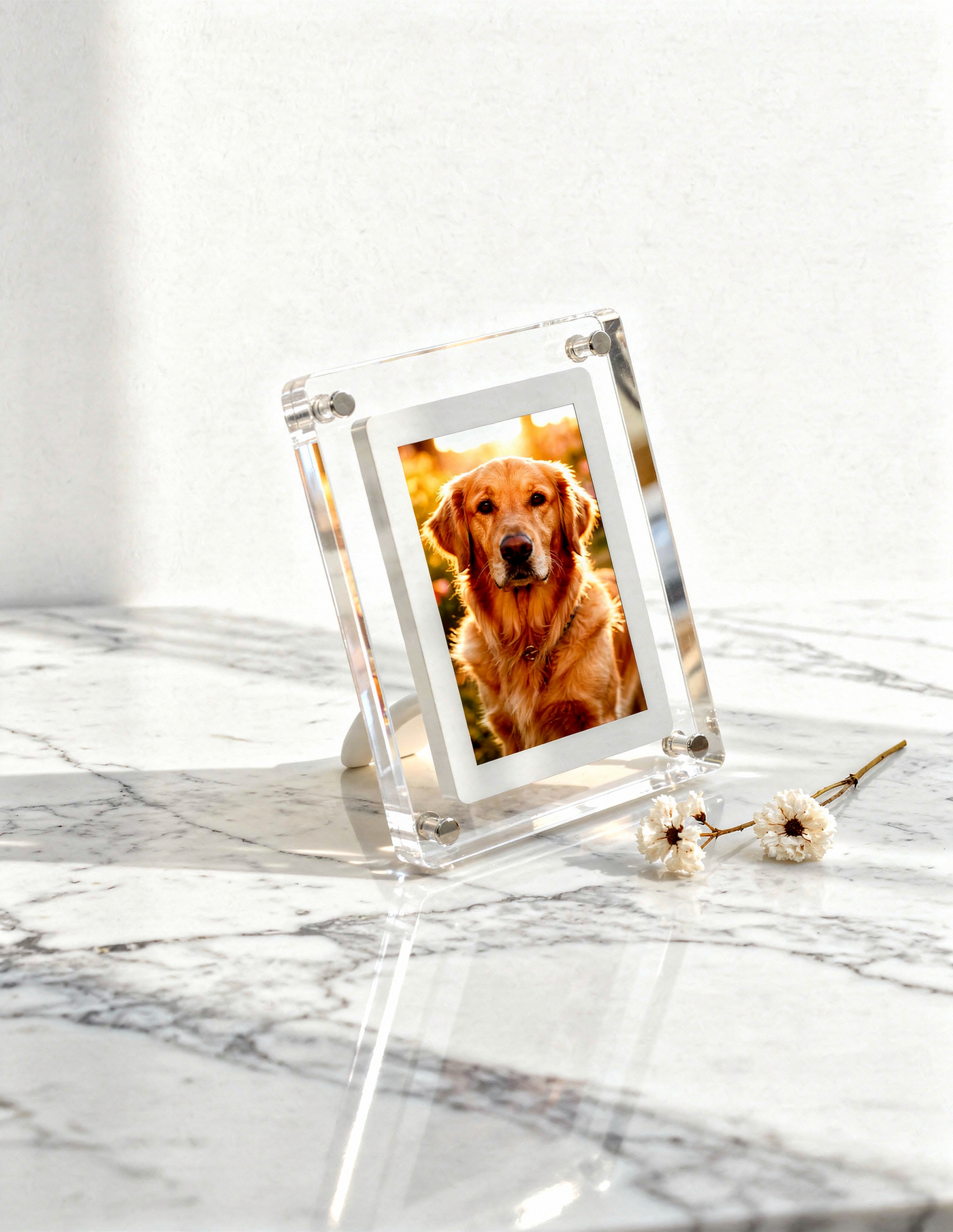 Digital video frame 5 Inch